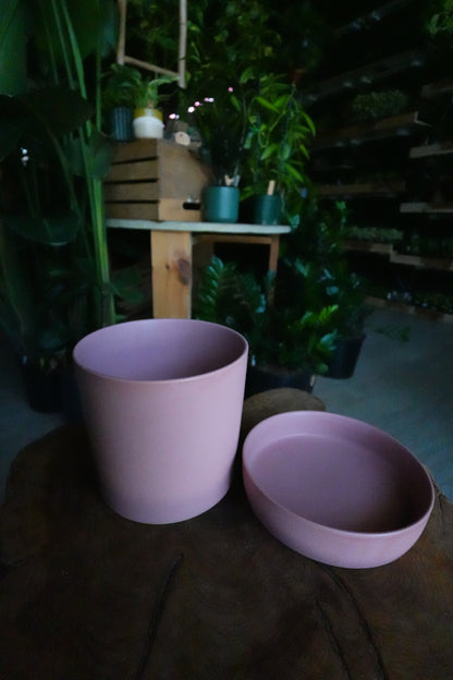 Watson Pot Pink 6"