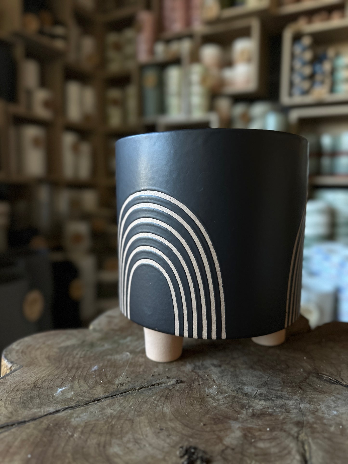 Asha Pot 6"