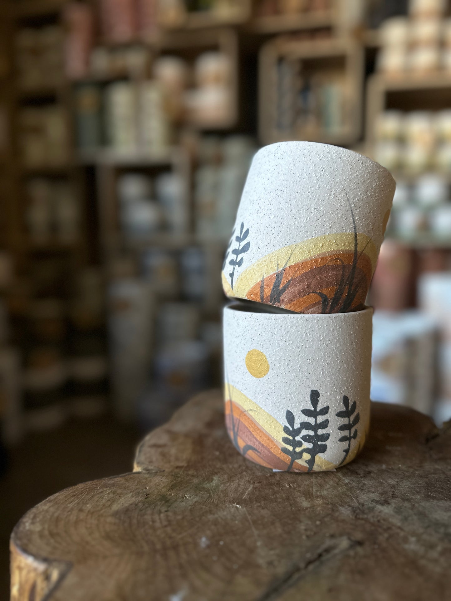 Mojave Pot 4"