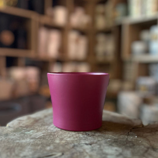 Burgundy Pot 4"
