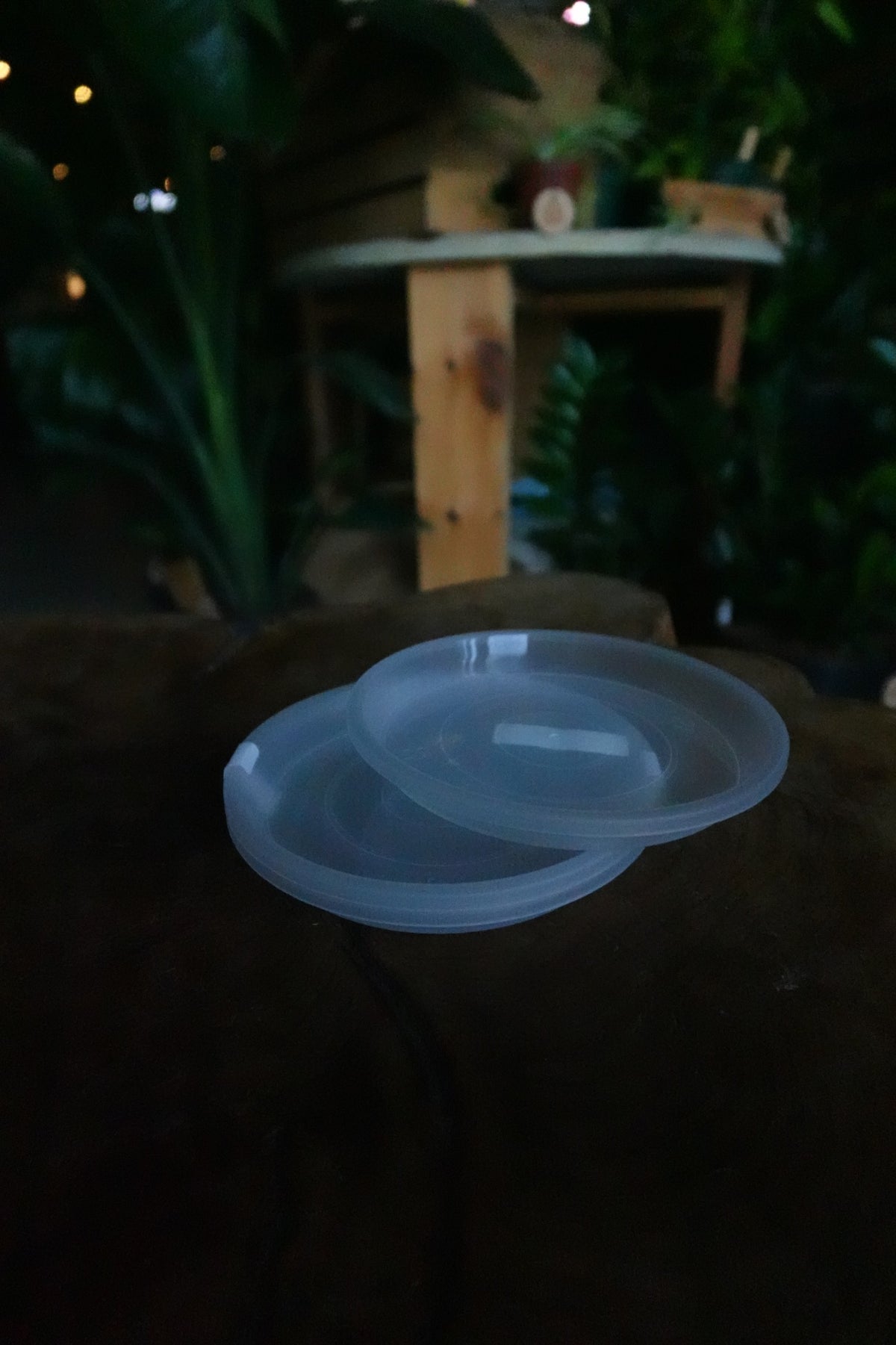 Saucers 4" (3 Pack)