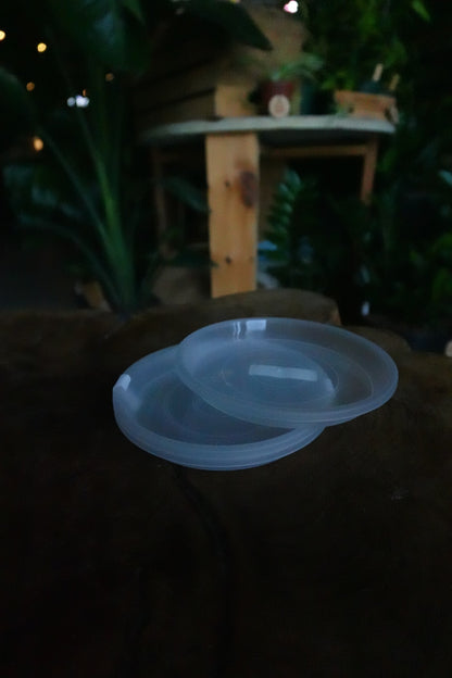 Saucers 4" (3 Pack)