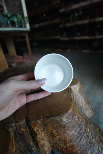 Kendall Pot White 2.5"