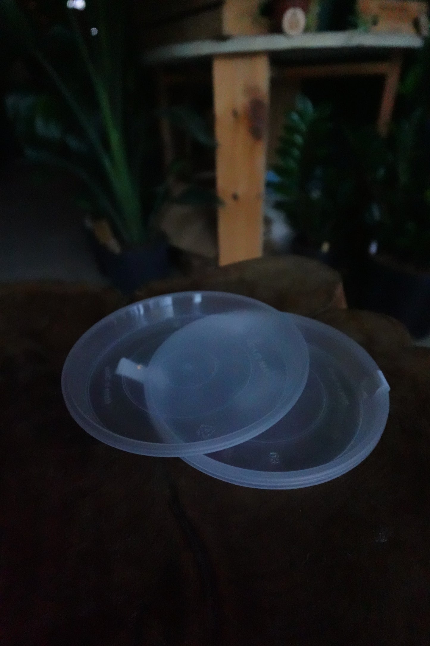 Saucers 5" (3 pack)