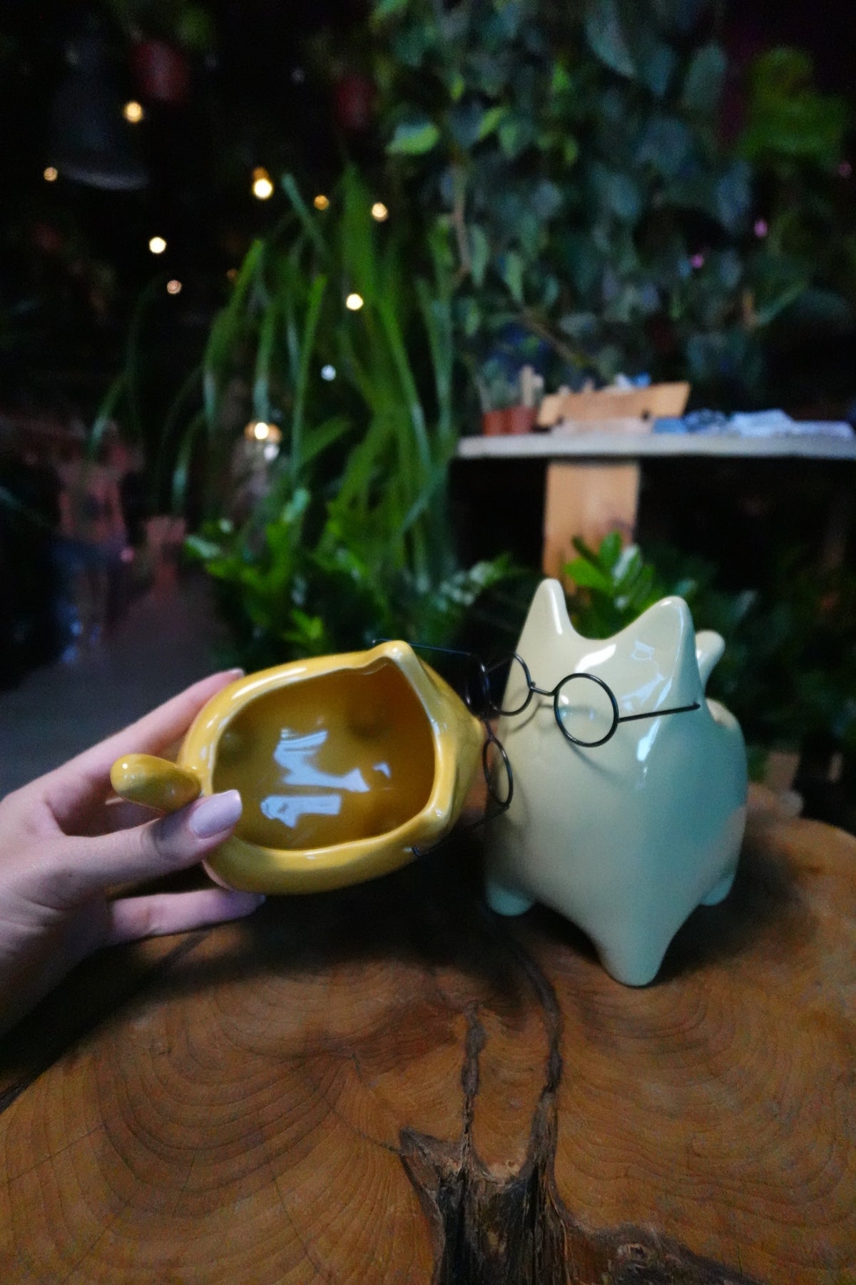 Wisdom Cat Pot 3"