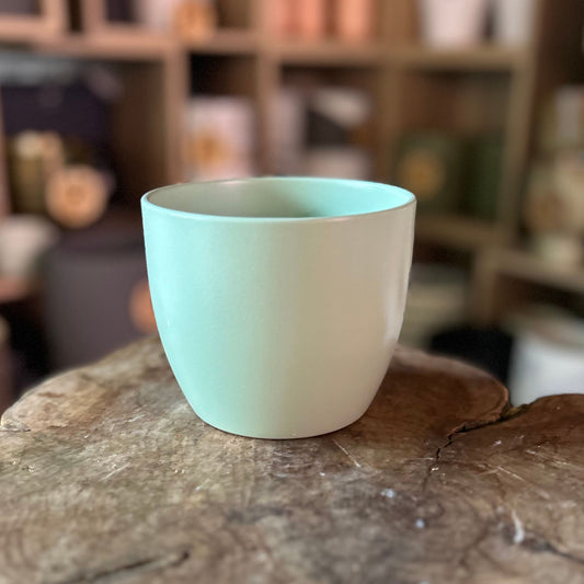 Linden Green 4.5”