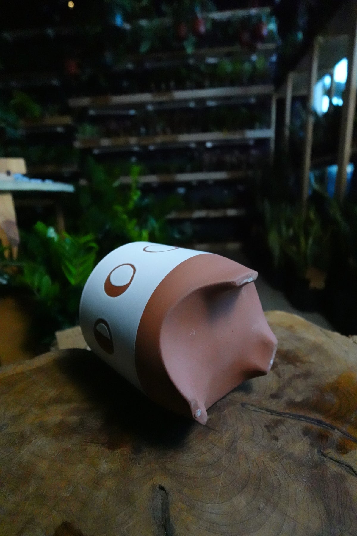Solar Footed Pot 5"
