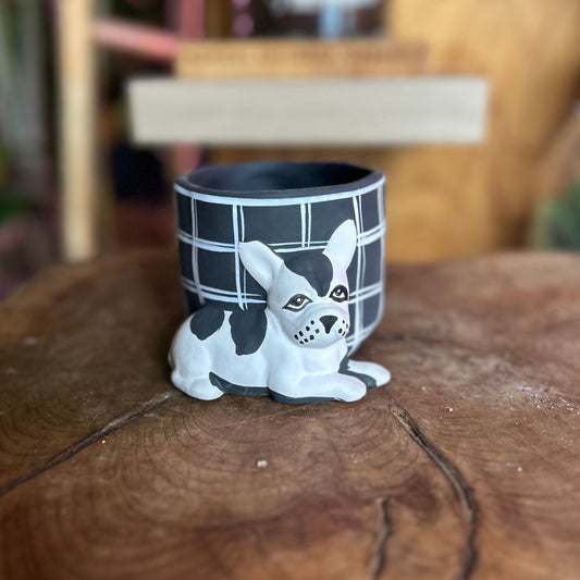 Pampered Dog Pot 4"