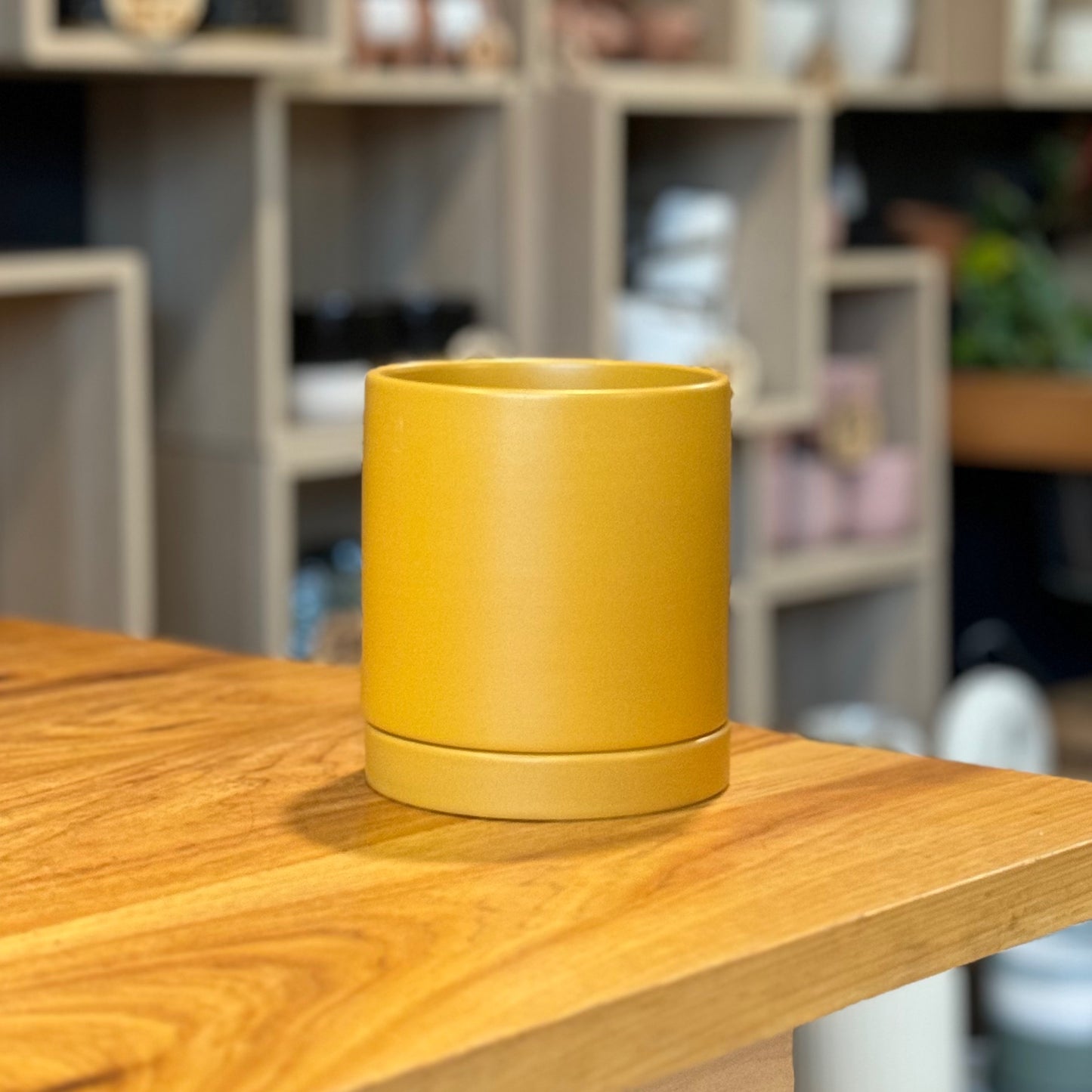 Romney Pot Yellow 4”