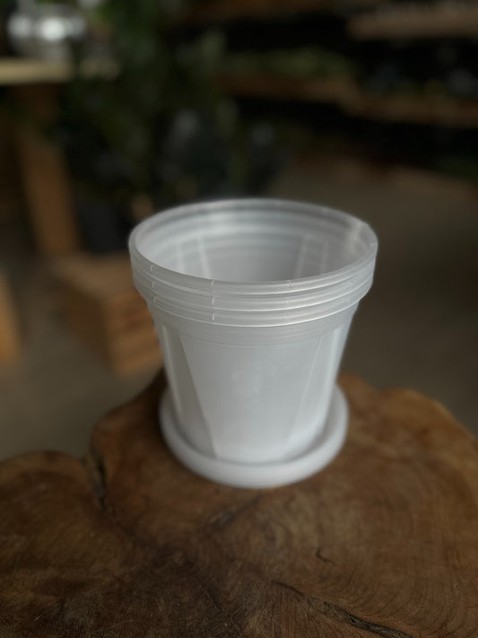 Clear Nursery Pot 5" 3 Pack