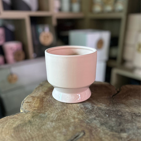 Pasadena Pot Coral 4.5"