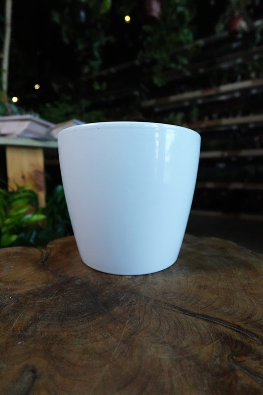 Malibu Pale Blue Pot 6"