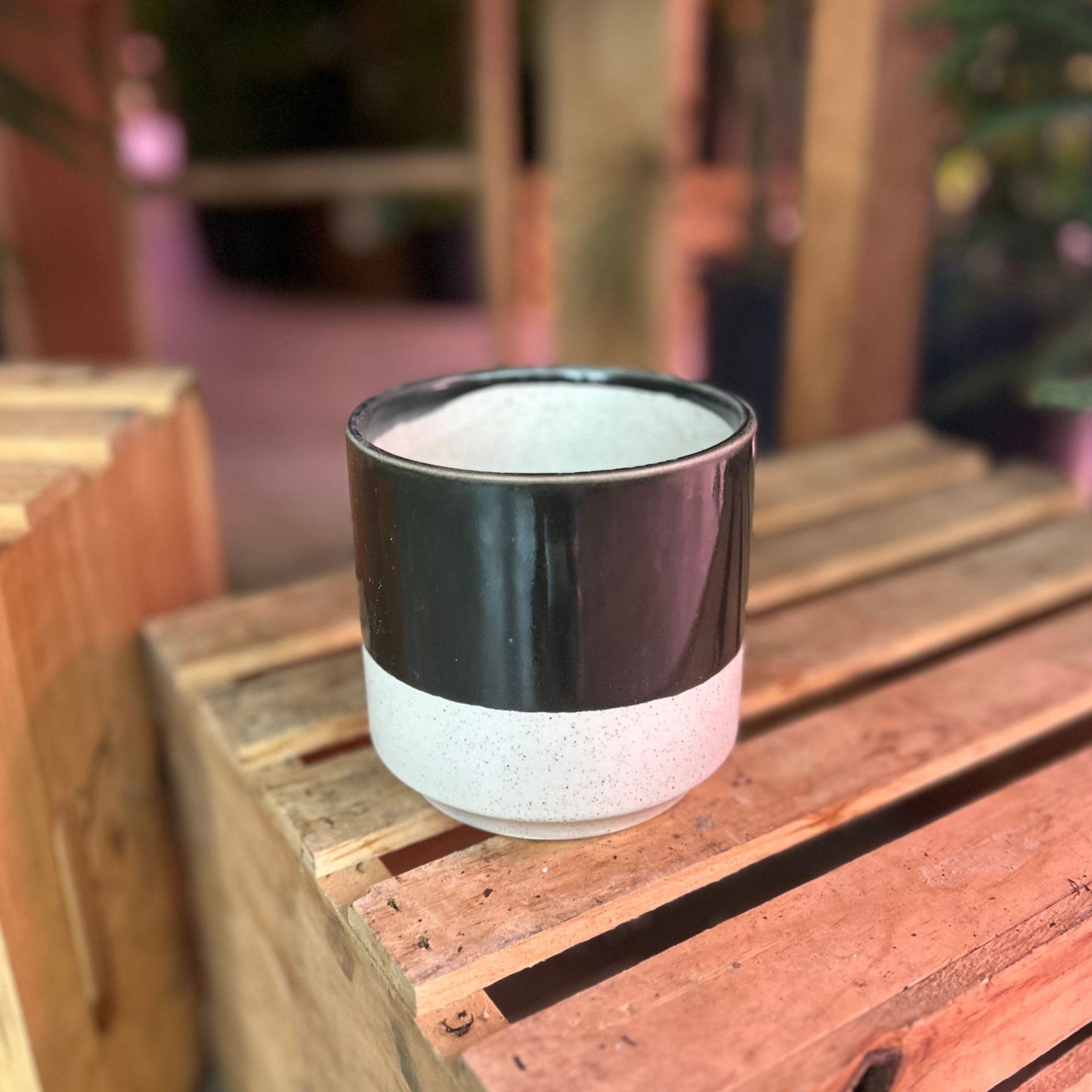 Miguel Pot Black 4.5"