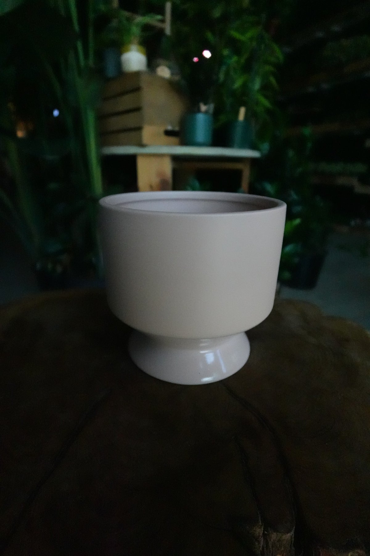 Pasadena Pot Coral 6"