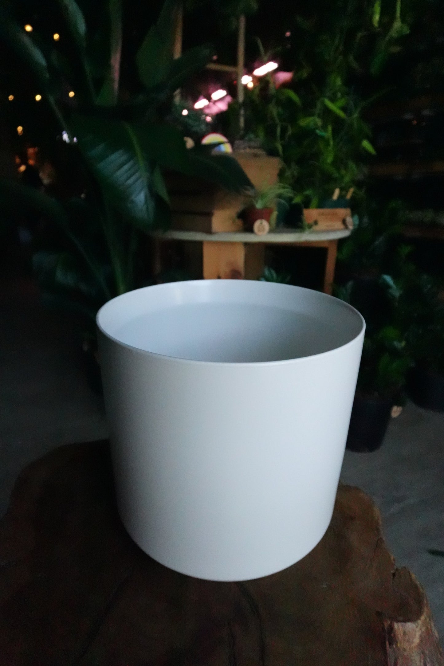Kendall Pot White 10"