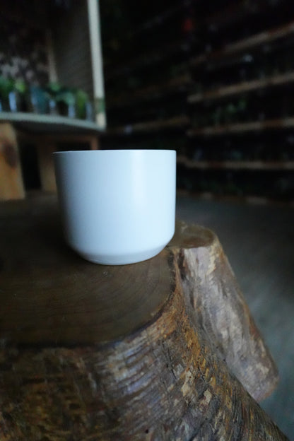Kendall Pot White 2.5"