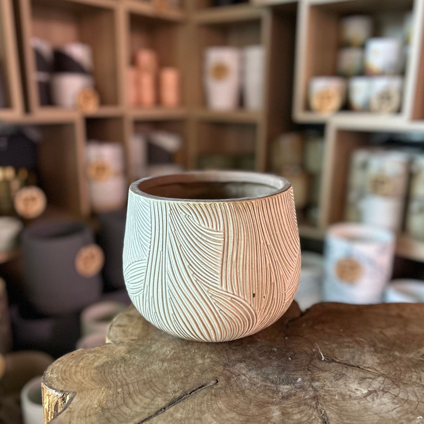 Combed Pot 7"