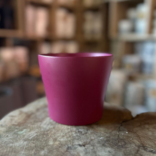 Burgundy Pot 5"