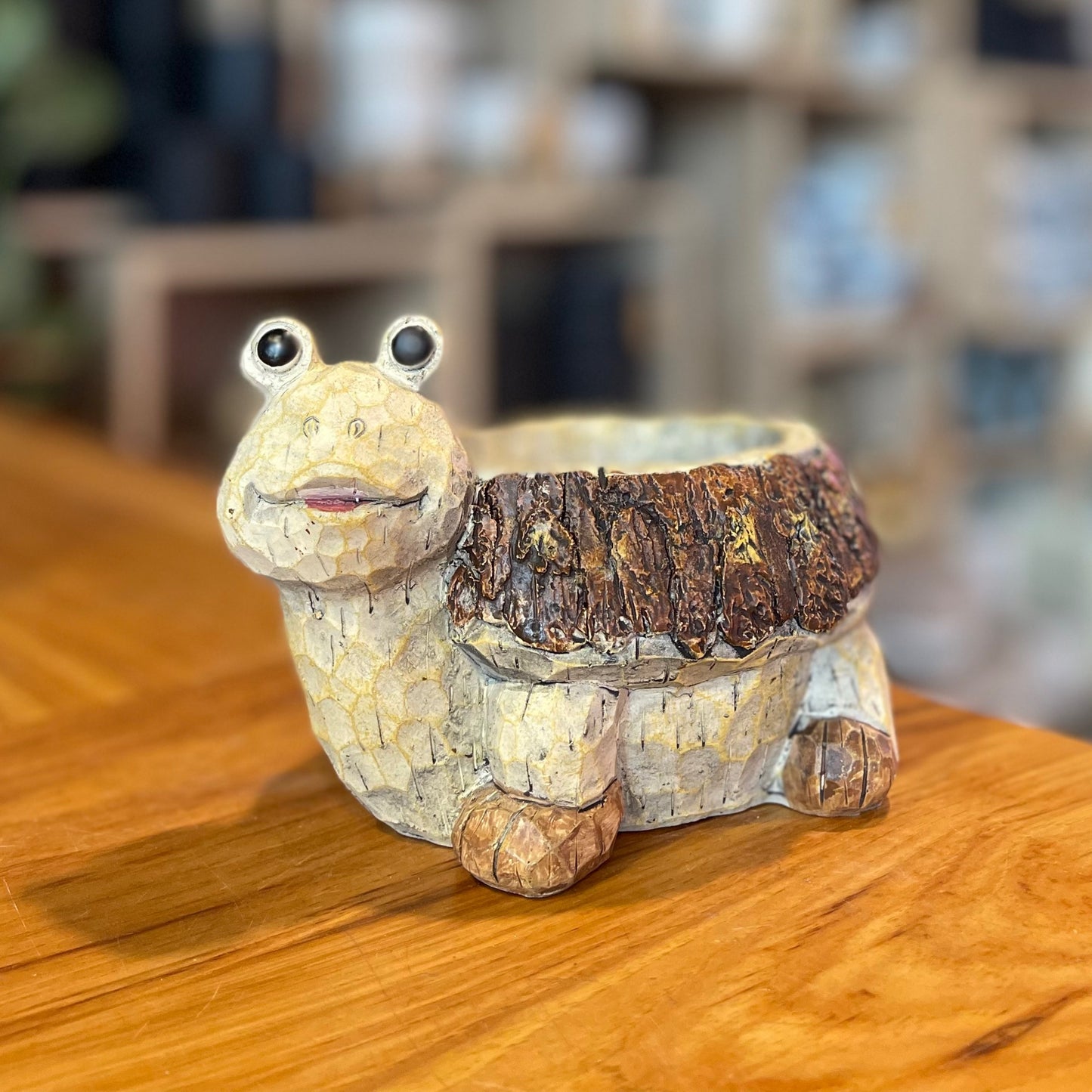 Turtle Planter