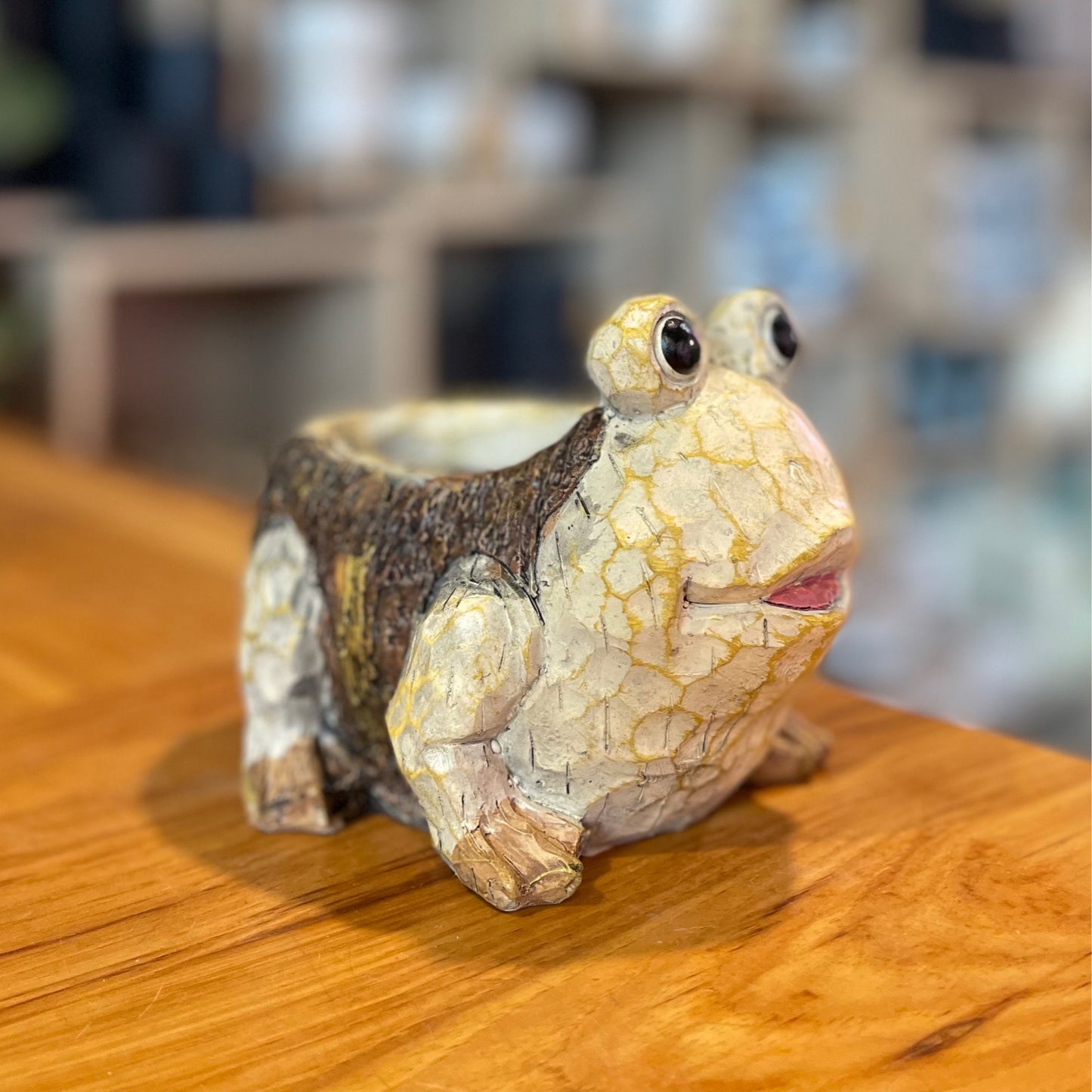 Frog Planter 3”