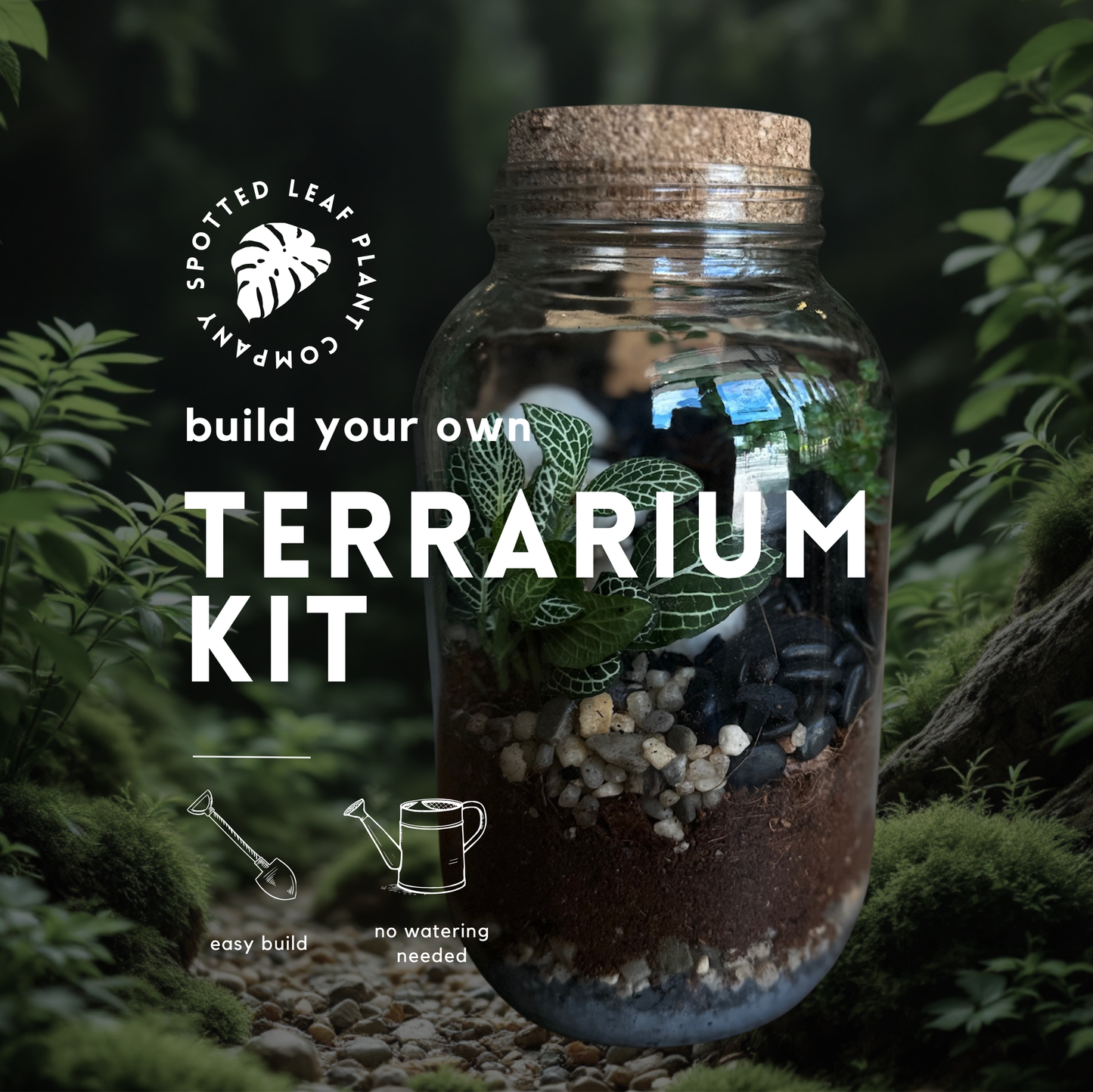 Tropical Enclosed Terrarium To-Go Kit
