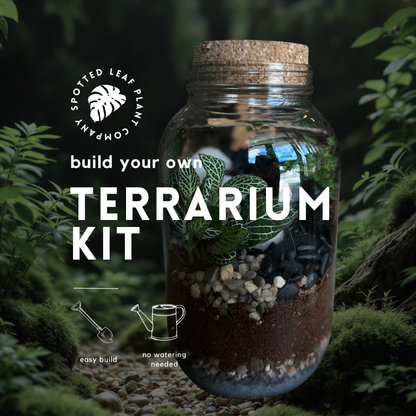 Tropical Enclosed Terrarium To-Go Kit
