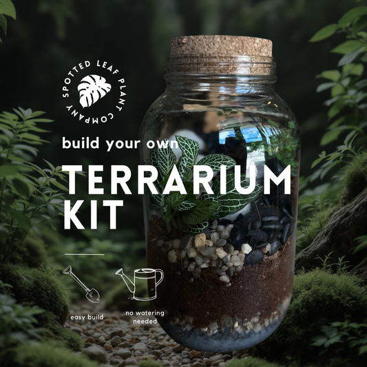 Tropical Enclosed Terrarium To-Go Kit